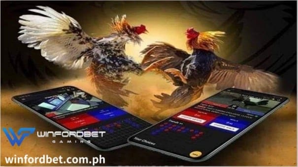 Mabuti kung may mga paborito, ngunit hindi nila dapat palitan ang mga online sabong na mayroon nang winning record.