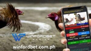 Ang pag-aanak ng gamecock at online casino sabong ay naging mahalagang bahagi ng kulturang Pilipino sa loob ng maraming siglo.