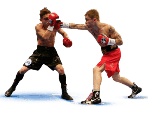 MMA boxing Sportsbook