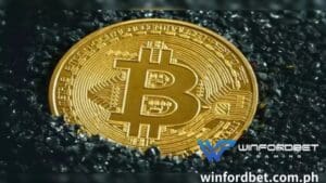 Kung ikaw ay isang taong naglalaro sa WINFORDBET online na Bitcoin casino, maaaring nagtataka ka kung mayroong Bitcoin no deposit bonus.