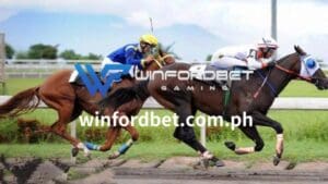 Maaaring gamitin ng mga mahilig sa pagtaya sa karera ng kabayo ang WINFORDBET platform para kumita sa kanilang mga taya.